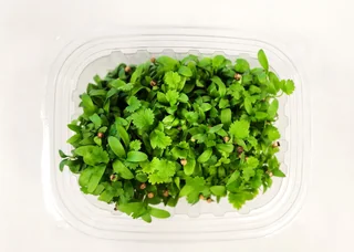 Image from Forest City Microgreens