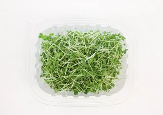 Image from Forest City Microgreens
