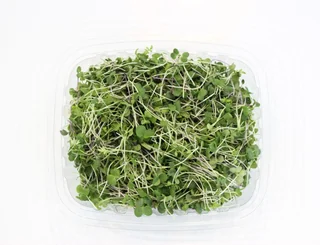 Image from Forest City Microgreens