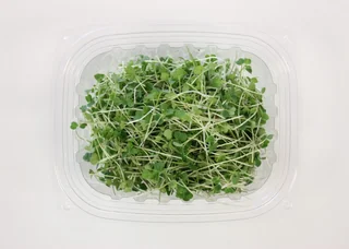 Image from Forest City Microgreens