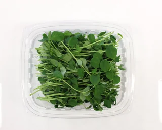 Image from Forest City Microgreens