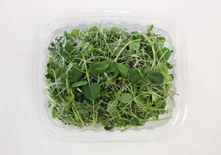 Image from Forest City Microgreens