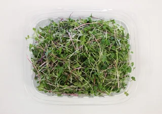 Image from Forest City Microgreens