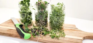 Image from Forest City Microgreens