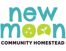 Image from Forest City Microgreens