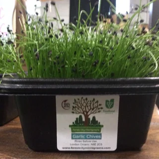 Image from Forest City Microgreens