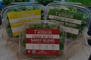 Image from Forest City Microgreens