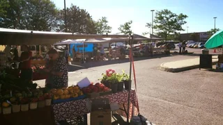 Market of where to buy